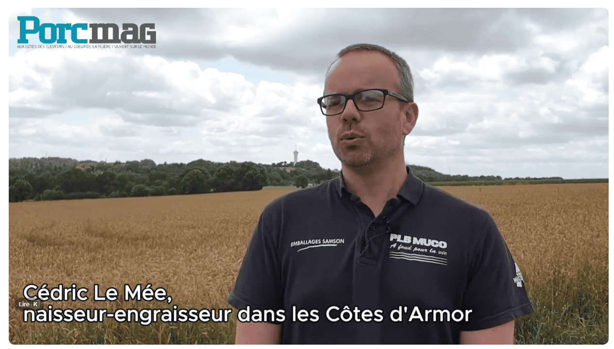 Materneo: Individualized feeding – The key to farrowing performance at Cédric Le Mée’s farm