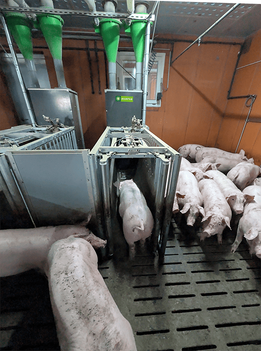 Individualized Feeding Station Selfifeeder GFI