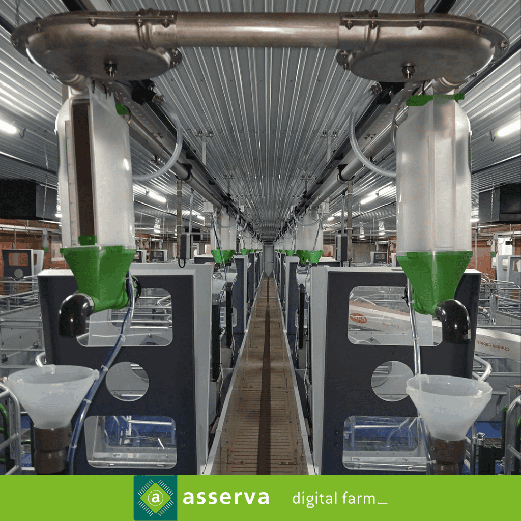 Materneo - Ille Et Vilaine