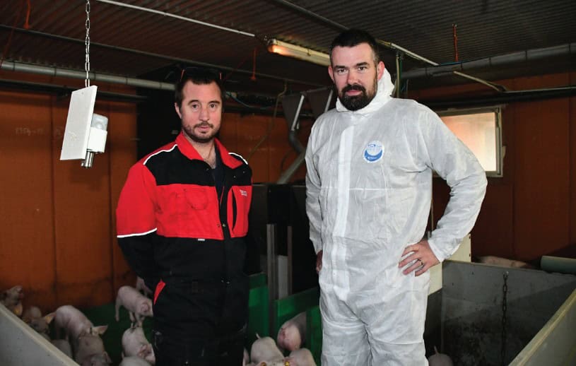 Optimat et Pig Insight : 8 ans d'innovation chez l'Élevage La Roche Carillan